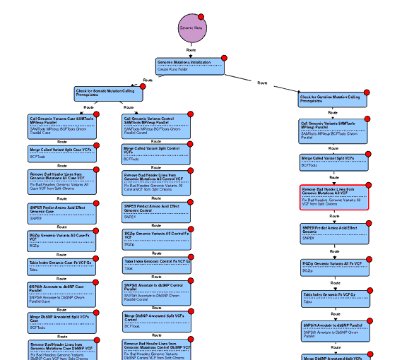 Secondary Analysis - Genomic mutations pipeline network graph