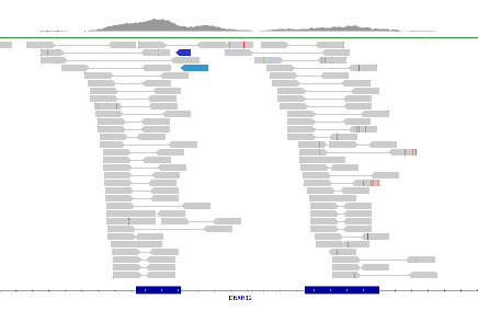 Primary Analysis - Mapped reads