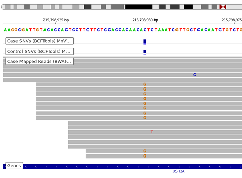 Secondary Analysis - Variant track view